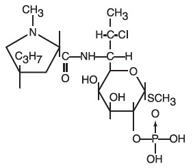 Clindacin P